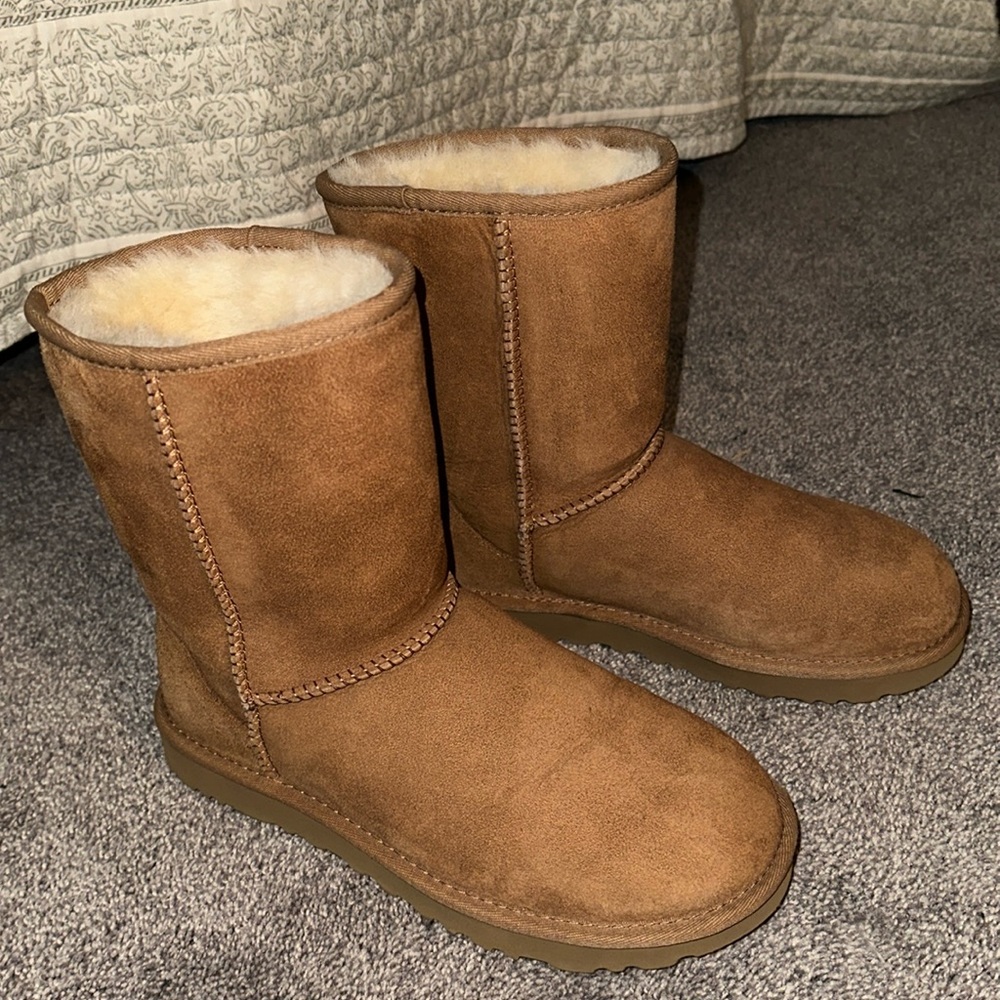 Classic short chestnut uggs